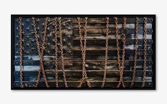 The United States of WE BUILT THIS Sh*t for FREE AmericanFlagRemix Limited Edition Aluminum Print